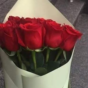 Meet your Posher, Tomasina